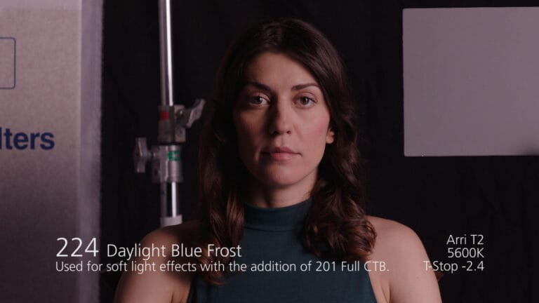 Daylight Blue Frost