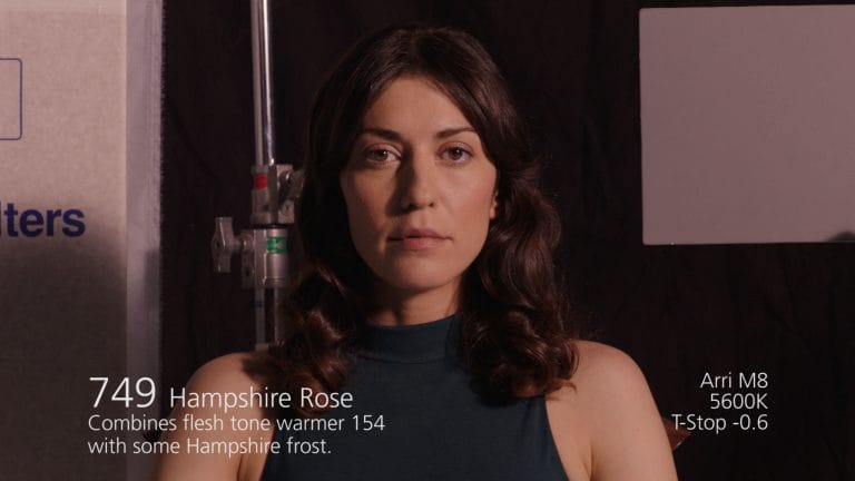 Hampshire Rose