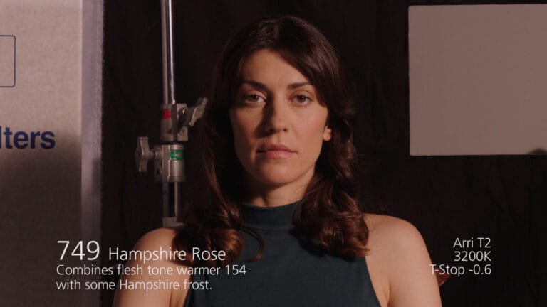 Hampshire Rose